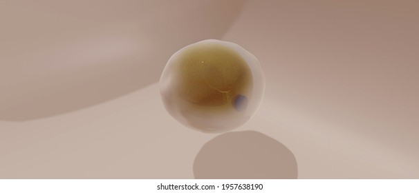 Fat cell, or adipocyte on a light neutral background. Single cell image, 3D image
