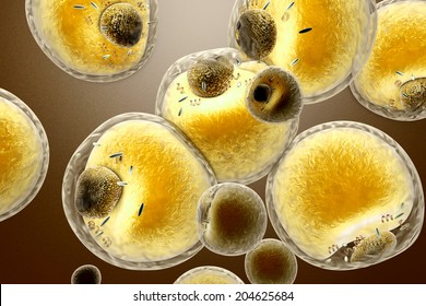 Fat cells in the human body. 3d rendered Illustration.