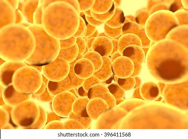 Fat cells. Inside human organism. 3d render