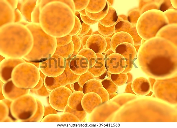 Fat cells. Inside\
human organism. 3d\
render