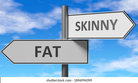 Fat And Skinny As A Choice - Pictured As Words Fat, Skinny On Road Signs To Show That When A Person Makes Decision He Can Choose Either Fat Or Skinny As An Option, 3d Illustration