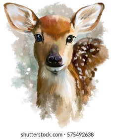 Fawn watercolor painting