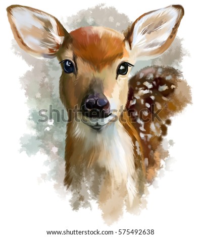 Fawn watercolor painting