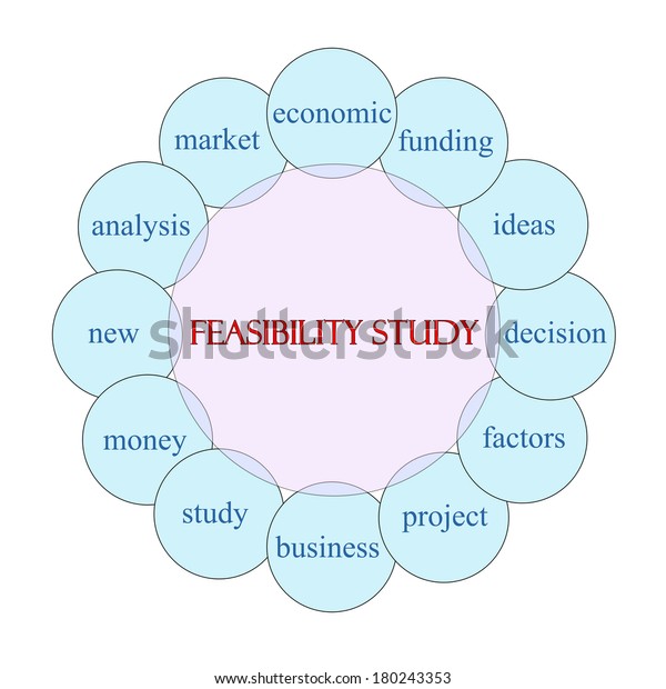 Feasibility Study Concept Circular Diagram Pink Stock Illustration ...
