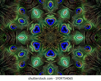 孔雀图片 库存照片和矢量图 Shutterstock