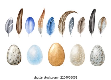 Feather And Egg Element Big Set. Watercolor Illustration. Hand Drawn Various Bird Quill, Eggs Realistic Collection. Bird Egg And Feather Natural Elements Isolated On White Background