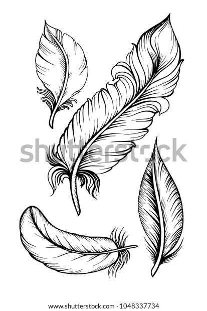 Feather Sketch Tattoo Stock Illustration 1048337734