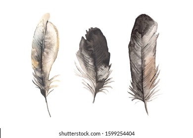 Black Fluffy Feather Hand Drawing Vintage Stock Vector (Royalty Free ...