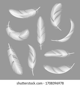 Feathers Realistic. Flying Furry Weightless White Swan Objects Isolated On Dark Background