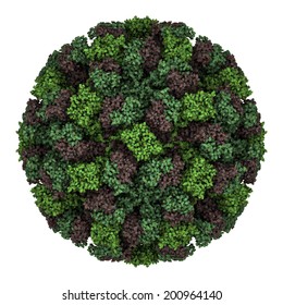 Feline Calicivirus Capsid. Causes A Viral Disease In Cats. A Vaccine Exists. Atomic-level Structure.