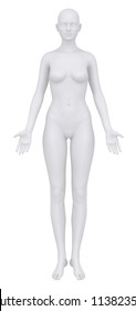 Female Body In Anatomical Position Anterior View Clipping Path