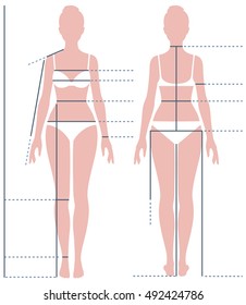 Female body in full length for measuring the size of the figure Stock illustration