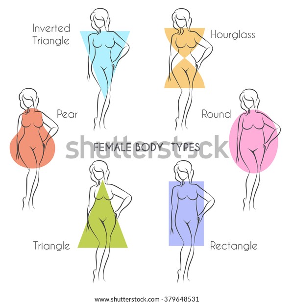女性の体型解剖学 女性の体型 のイラスト素材