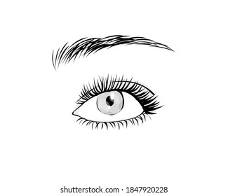 Cartoon Female Eye Blue Color Eyebrow Stock Vector (Royalty Free) 585510668