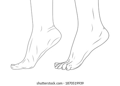 female feet in toe position. Outline