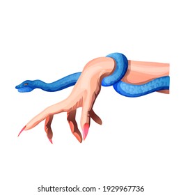 Female Hand With Long Nails And A Snake. Snake Around The Arm. Cartoon Illustration Isolated. Sticker, Symbol, Icon For Your Design. White Background.