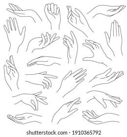Female hands line. Outline elegant woman hand gestures. Beautiful palm and fingers icons in one line fashion minimalist style,  set. Illustration hand collection woman, pretty elegant lady arm