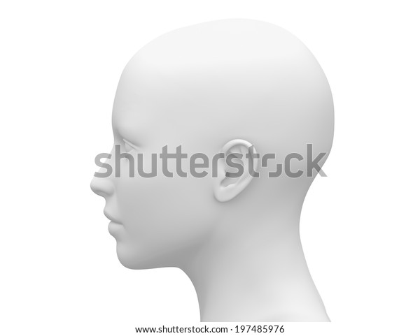 女性の頭ブランクマネキン 側面図 のイラスト素材