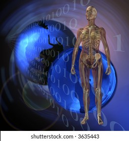 Female Human Anatomy, Muscle And Skeleton, With Earth, Fiber Optics, Lens Flare, And Binary Information Technology