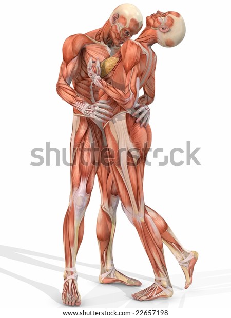 Anatomic