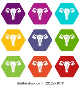 Female reproductive organ icons 9 set coloful isolated on white for web