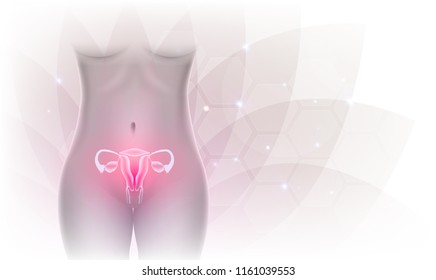 Female reproductive organs beautiful artistic design, transparent flower at the background. 3D illustration