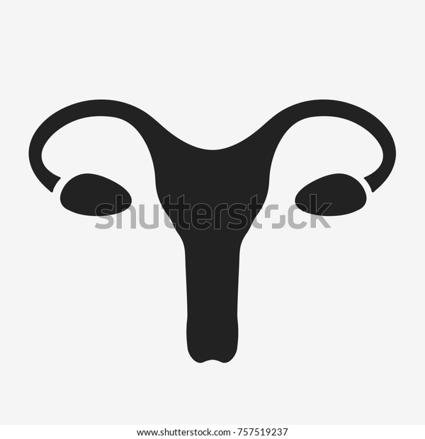 Female Reproductive System Anatomy Flat Illustration Stock Illustration