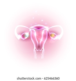 Female uterus and ovaries abstract transparent design