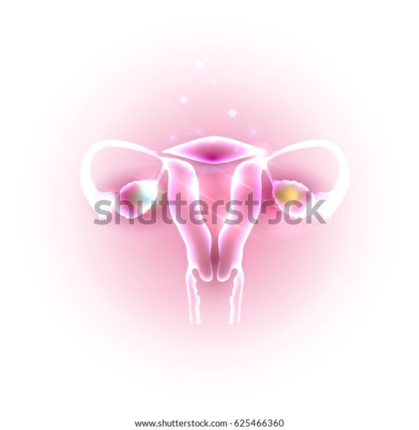 女性の子宮と卵巣の抽象的な透明デザイン のイラスト素材