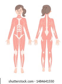 Female Whole Body Muscle Diagram 