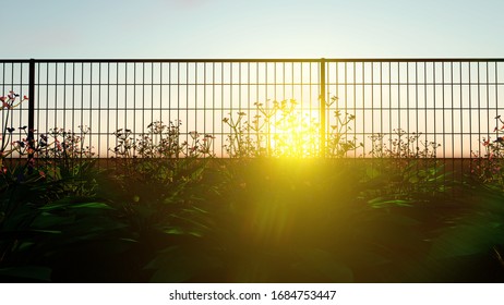 Fence at Sunset Nature 3D Rendering