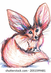 Fennec fox with big ears sketched art pen illustration