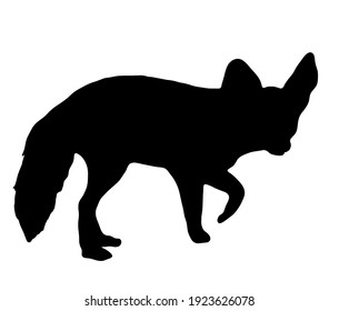 Fennec Fox Silhouette With Big Ears