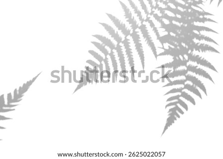 Fern branch shadow. Leaf shadow overlay. Sunlight trough the leaf. Nature organic shadow. Blurred Leaf shadow and light on wall background. 3d rendering. 3D Illustration