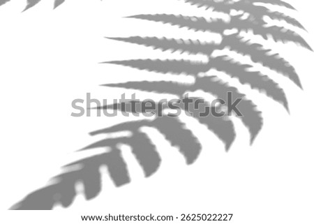 Fern branch shadow. Leaf shadow overlay. Sunlight trough the leaf. Nature organic shadow. Blurred Leaf shadow and light on wall background. 3d rendering. 3D Illustration