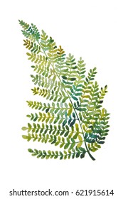Fern leaf, watercolor