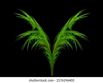 Fern Or Palm, Fractal On Black