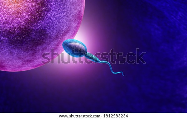 Fertility Human Reproduction Concept Microscopic Sperm Stock ...