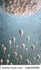 Fertilization of human egg cell by sperm cells, spermatozoon, 3D illustration