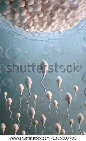 Fertilization of human egg cell by sperm cells, spermatozoon, 3D illustration