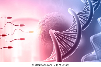 Fertilizing egg with sperm and DNA strand. 3d illustration		