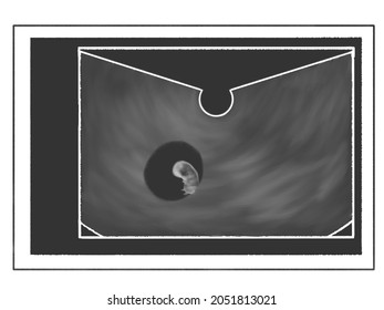 Fetal Ultrasound Scan; 10 Weeks Pregnant