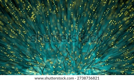 Fiber optic cables transmit high speed data signals through illuminated optical strands representing telecommunications and network infrastructure.