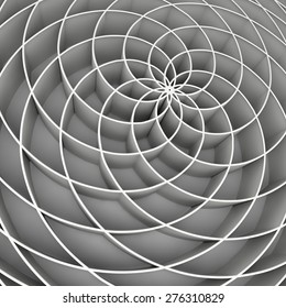 Fibonacci Spiral