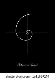 Fibonacci Spiral On A Black Background