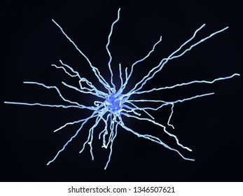 Fibrous astrocytes are found in the white matter of the nervous system.  3d rendering