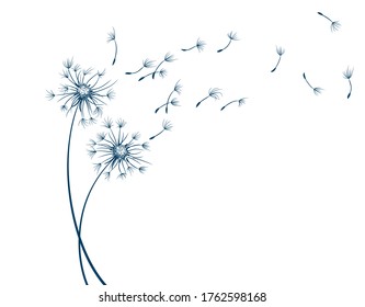 The Field Dandelion Flower Sketch With Flying Seeds.