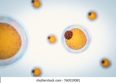 field of fat cells, High quality 3d render of fat cells, cholesterol in a cells,  structure of the molecule, receptors on the cells surface 3d renderer