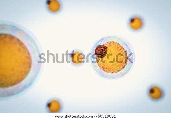 field of fat cells, High quality 3d render of\
fat cells, cholesterol in a cells,  structure of the molecule,\
receptors on the cells surface 3d\
renderer