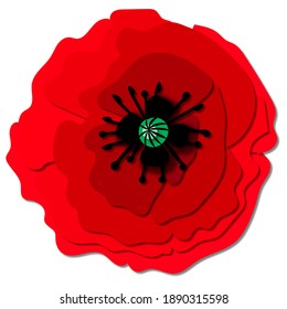 4,034 Poppy cutout Images, Stock Photos & Vectors | Shutterstock